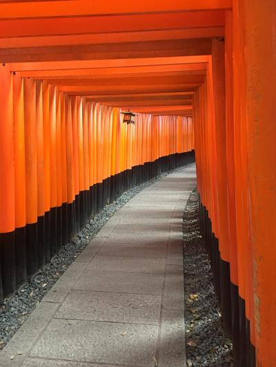 ちょっと遅かった京都の紅葉