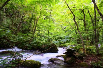 晩夏の東北旅行　美味しいもの食べ尽くしと温泉三昧①　奥入瀬編