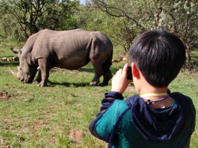 9歳子連れケニア母子旅行(後) 