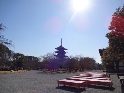 東寺と本願寺　東寺編