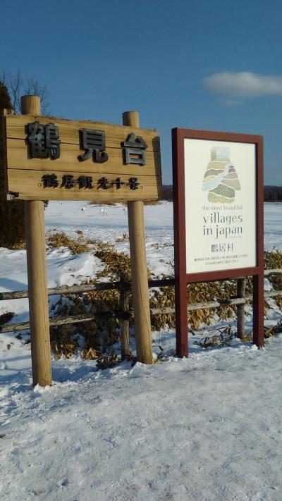 【レンタカーなし旅】タンチョウに会いに！真冬の釧路、初上陸