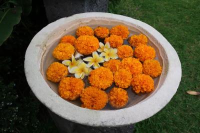 お初バリ島ウブド一人旅ホテル編