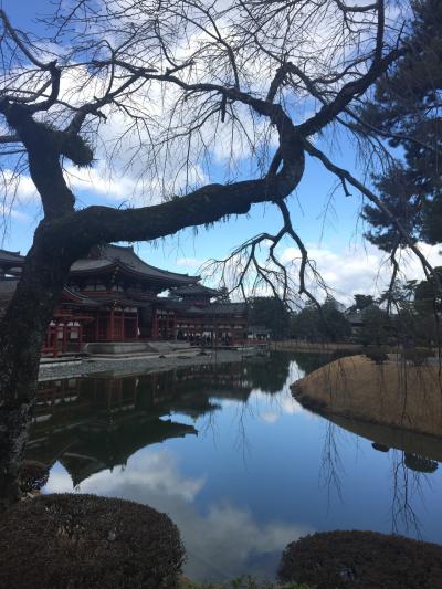 真冬の京都奈良２泊３日ひとり旅   国宝、世界遺産をいくつ回れるか！？ 京都1日目