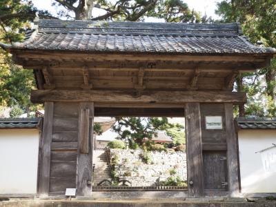 天恩寺　徳川家康の命を救った　見返りの大杉!　長篠城出陣　祈願した寺社へ　ママ転ぶ(;´･ω･)