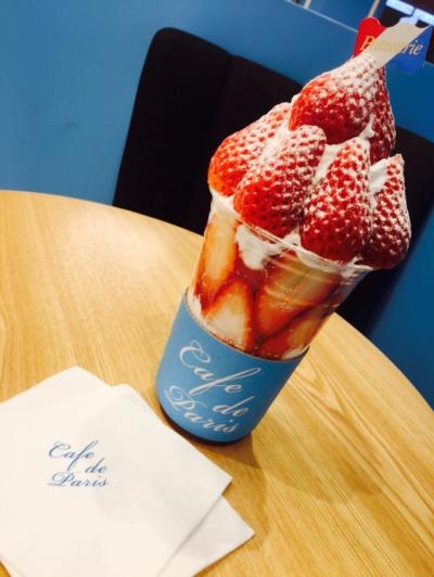 家族で釜山~からの1人居残り釜山~