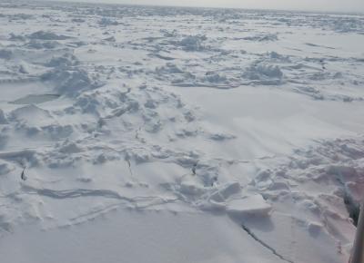 流氷と雪まつりを見てきました