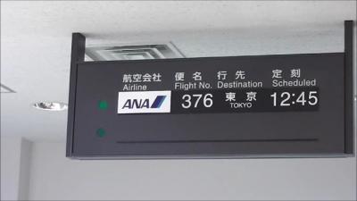 溜まったマイルを使って東京へ!!