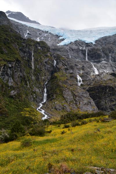 ニュージーランド　ワナカ　ロブロイ氷河・トレック