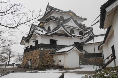 シニア夫妻２組が行く琵琶湖周辺、京都の旅②