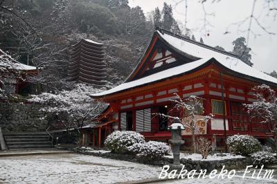 念願!! 雪の談山神社