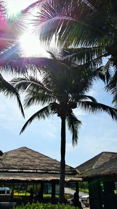 夏休みに楽しめるタイ・タオ島