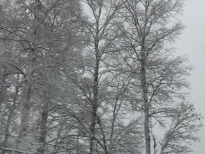 道の駅めぐり- 北海道-(4日目)