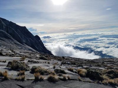 ★行き当たりばったりの旅～ボルネオ島：キナバル登山