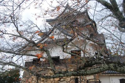 2017 現存天守12城を訪ねる旅【Ⅱ】　国宝 彦根城
