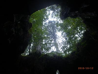 2016 離島一人旅 屋久島