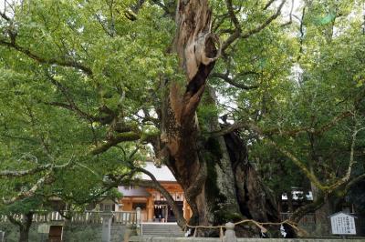 JR四国バースデイきっぷ旅1日目&#12316;大山祇神社・南光坊・伊予灘ものがたり編&#12316;