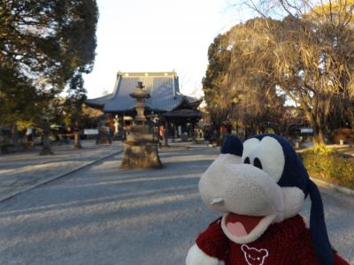 グーちゃん、両毛線を旅する！（足利織姫神社、縁結びの神様もつらいよ・・・編）