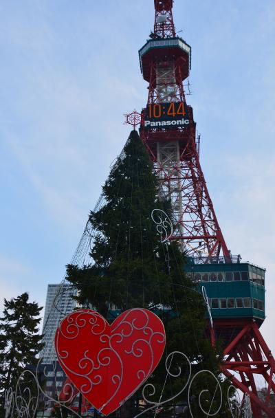 厳寒の北の大地　札幌のX&#39;mas　①