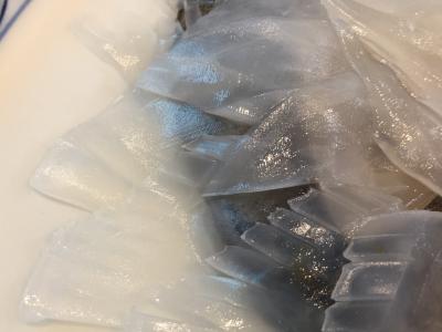 呼子の海中レストランでイカ満喫