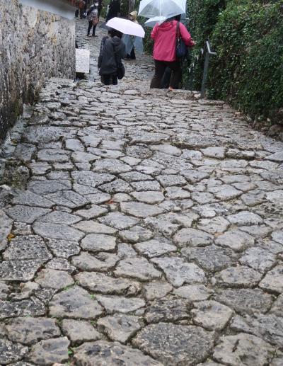 沖縄-15　首里金城町石畳道・古道238ｍを下り　☆小雨に濡れてしっとり輝き