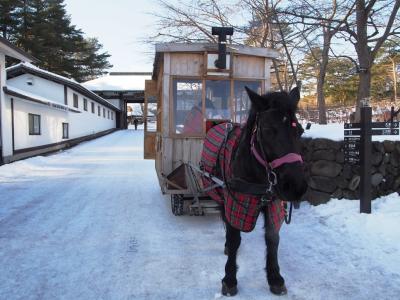 &lt;青森雪見旅･3&gt;星野リゾート･青森屋の雪見馬車＆魚だけじゃないぞ！八戸・八食センター