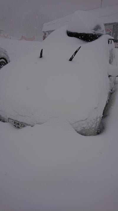 久々の大雪