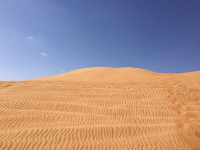オマーンの美しい砂漠　ワヒバ砂漠