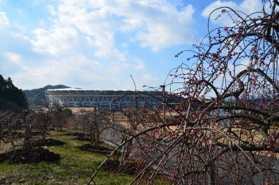 小笠山総合運動公園・エコパ周辺を歩いて来ました 2017.02.17