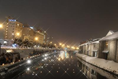 2018年　北海道　さっぽろ雪祭り　＆　雪あかりの路（4日目）4/4 (雪あかりの路：芸術村＆運河会場）編