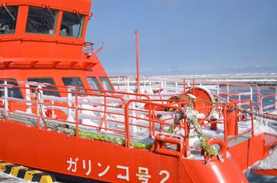 冬の北海道でしか見られない流氷を見に行きました(紋別編）