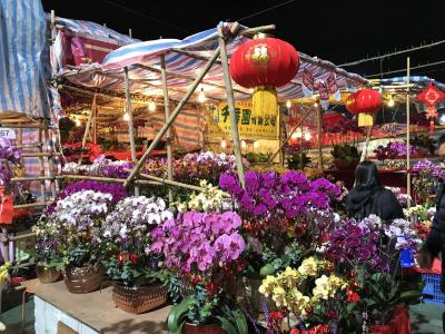 駐在のついでに 【現地速報】 香港、旧正月前の風物詩 “年宵花市 Lunar NewYear Fair”  は、凄い盛り上がりでした！ 