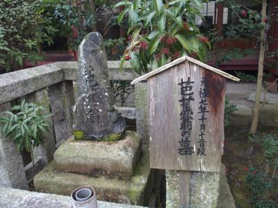 義仲寺・琵琶湖博物館2018