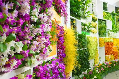 花のオリンピック　世界らん展 日本大賞2018