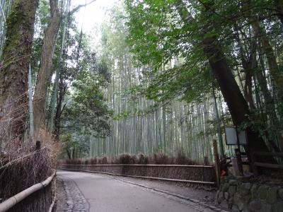 京都の世界遺産巡り　二条城　天龍寺　苔寺
