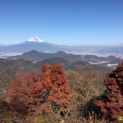 1泊2日、絶景と癒しの伊豆ちょっとりっぷ