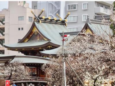 湯島天神「梅まつり」の後は 東京大学本郷キャンパスへ