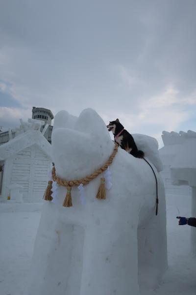 秋田の冬まつり　　犬っこまつり　　湯沢市