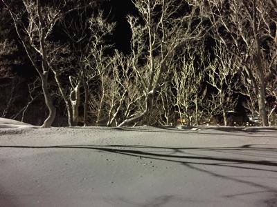 冬・北海道！　流氷を見に1泊2日のツアーで知床・網走へ（1日目、知床流氷フェス）