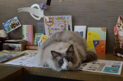 大阪☆猫の図書館 ネコノミクスってニャンだ(=^・^=)