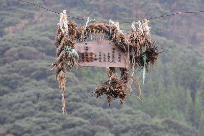 若狭おおい町・小浜の秘仏巡りと厄除け「はなんとう」（福井)