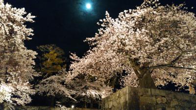 2017年4月・彦根城の夜桜
