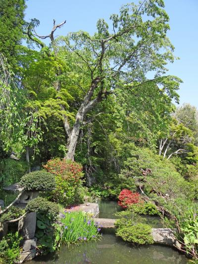 長野　豪商の館　田中本家博物館