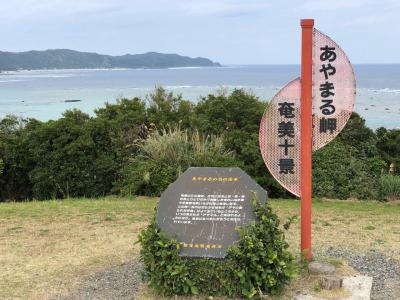 ん、そだね！バニラで行く初めての奄美大島♪