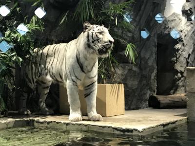 ニフレル堪能　撮影会＜１＞