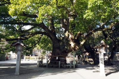 JR四国バースデイきっぷ旅最終日&#12316;大麻比古神社・霊山寺編&#12316;