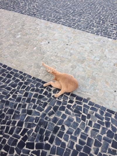 日系人の友達とブラジル旅行 4