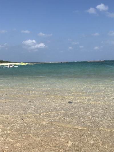 ２月に石垣島日帰りひとり旅