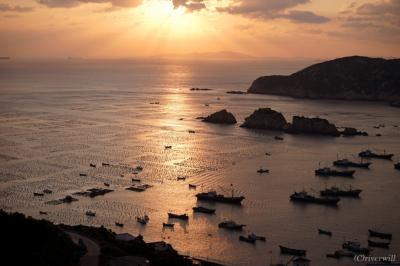 緑にのまれた廃村のある島「枸杞（くこ）島」を訪れてみた