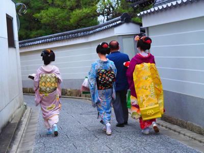 京都おもいでさがし(北野から花園、御室そして四条烏丸界隈)~お寺で泊まって、食べて