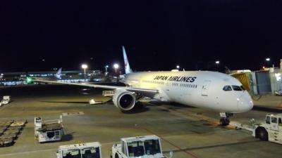 JAL B787-9(SS9) ビジネスクラス&quot;SKY SUITE&quot;搭乗記・成田‐シドニー(JL771) / Review: Japan Airlines(JAL) B787-9 Business Class &quot;SKY SUITE&quot; Tokyo-Sydney 